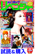 コミックリベンジャーVol.17